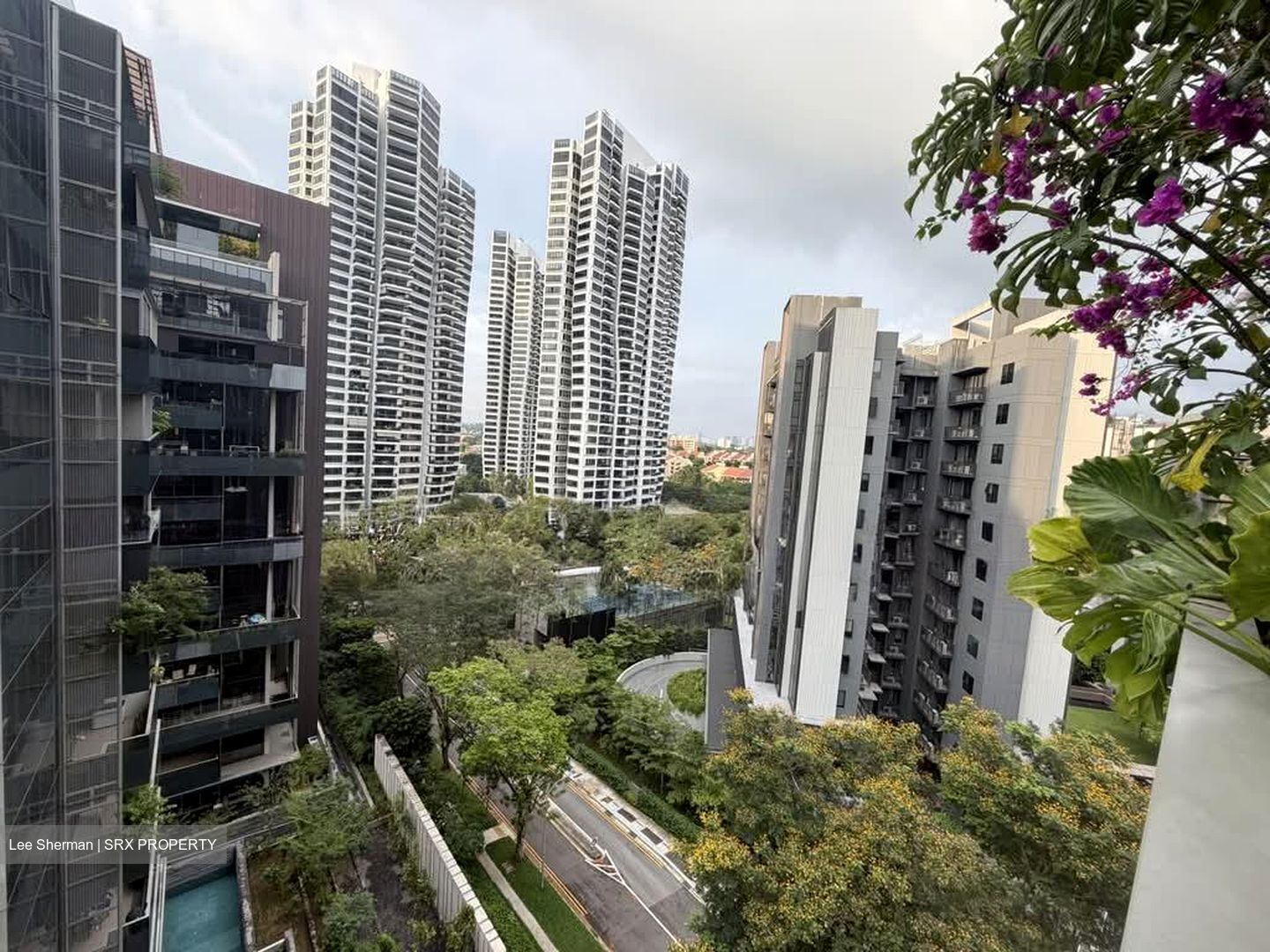 Leedon Residence (D10), Condominium #581839071